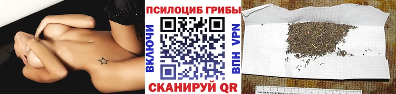Галлюциногенные грибы Cubensis  Купить закладки  Добрянка 