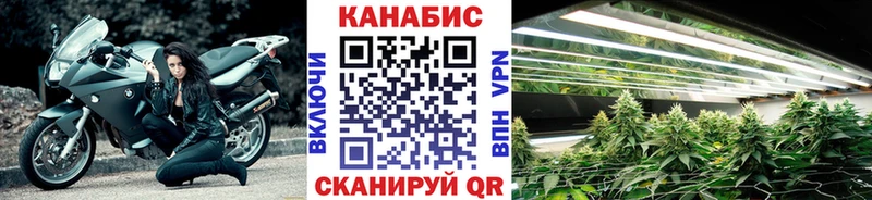 Купить  Добрянка  Марихуана Amnesia 